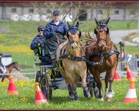 2POSIEUX 0236
